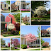 Spring in New Town