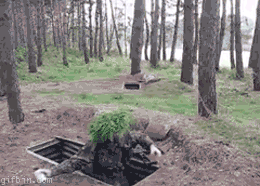 Smoke+bomb+fail.gif