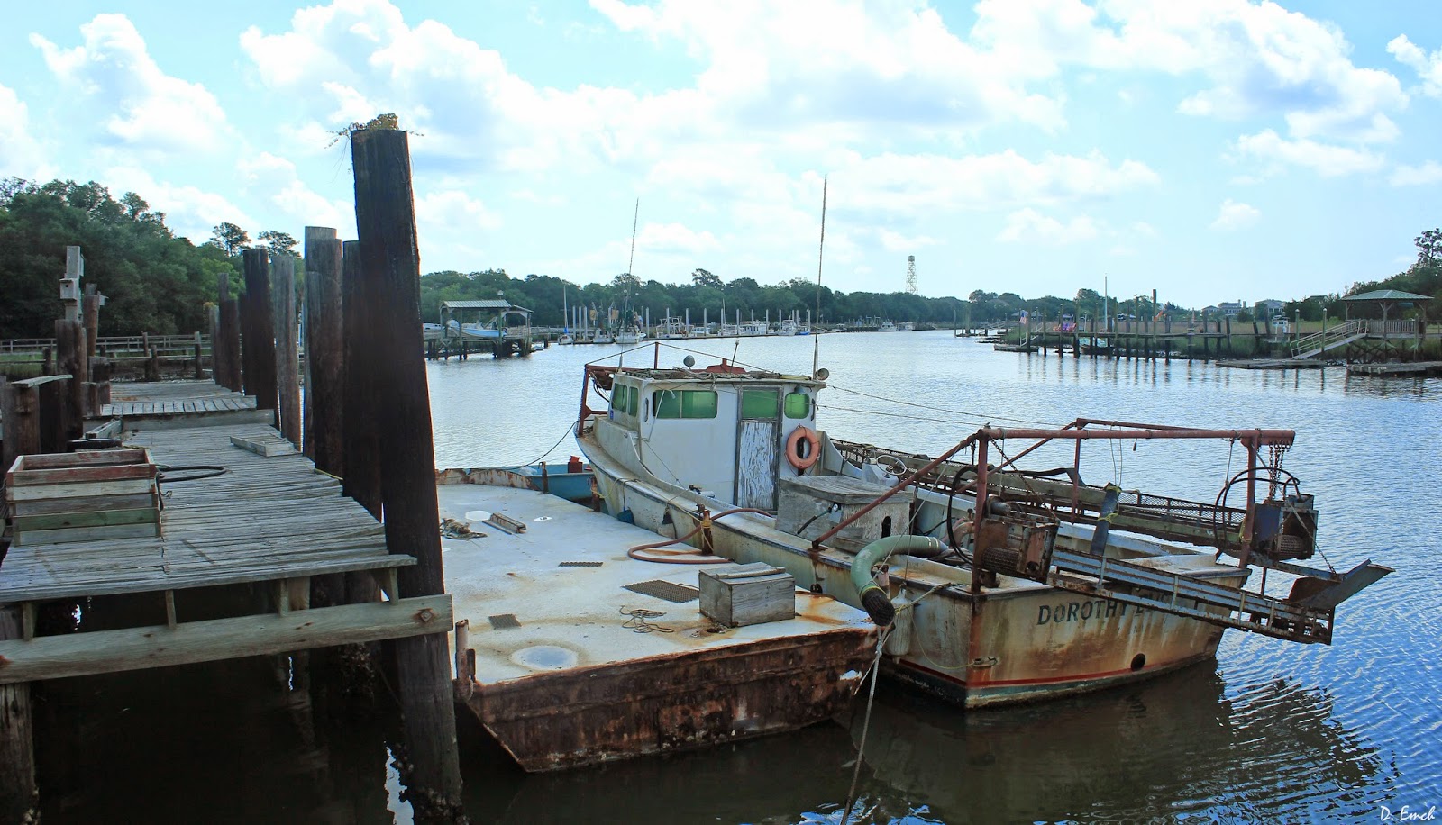 Capture America Journal McClellanville SC 6/12/14