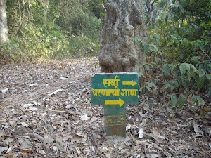 Directions in Marathi Language to "Dharnyachi Ghaan" water spring pond.