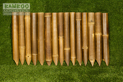 Bamboo Grove Photo: Bamboo Garden Edging