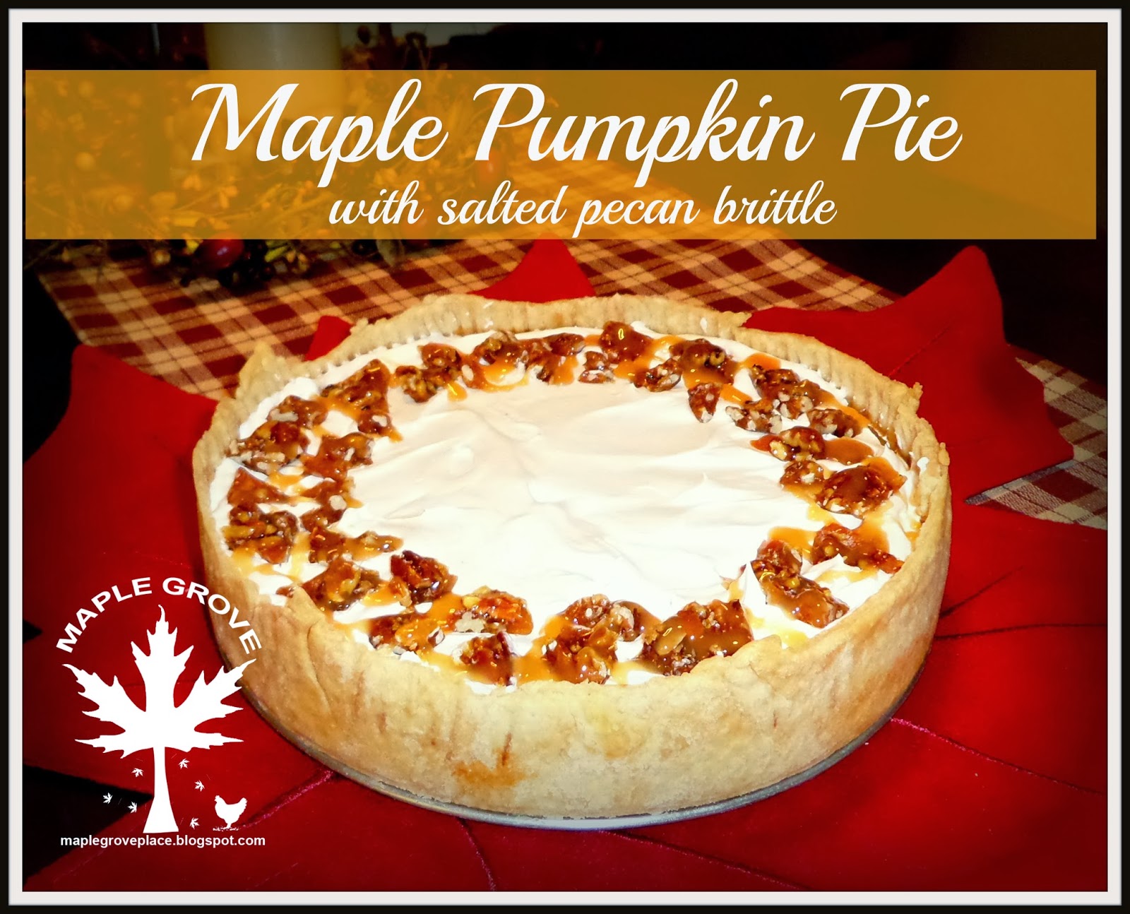 maple grove maple pumpkin pie with salted pecan brittle maple grove maple pumpkin pie with salted pecan brittle
