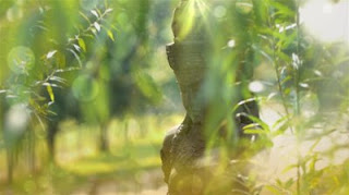 stock-footage-statue-in-beautiful-garden