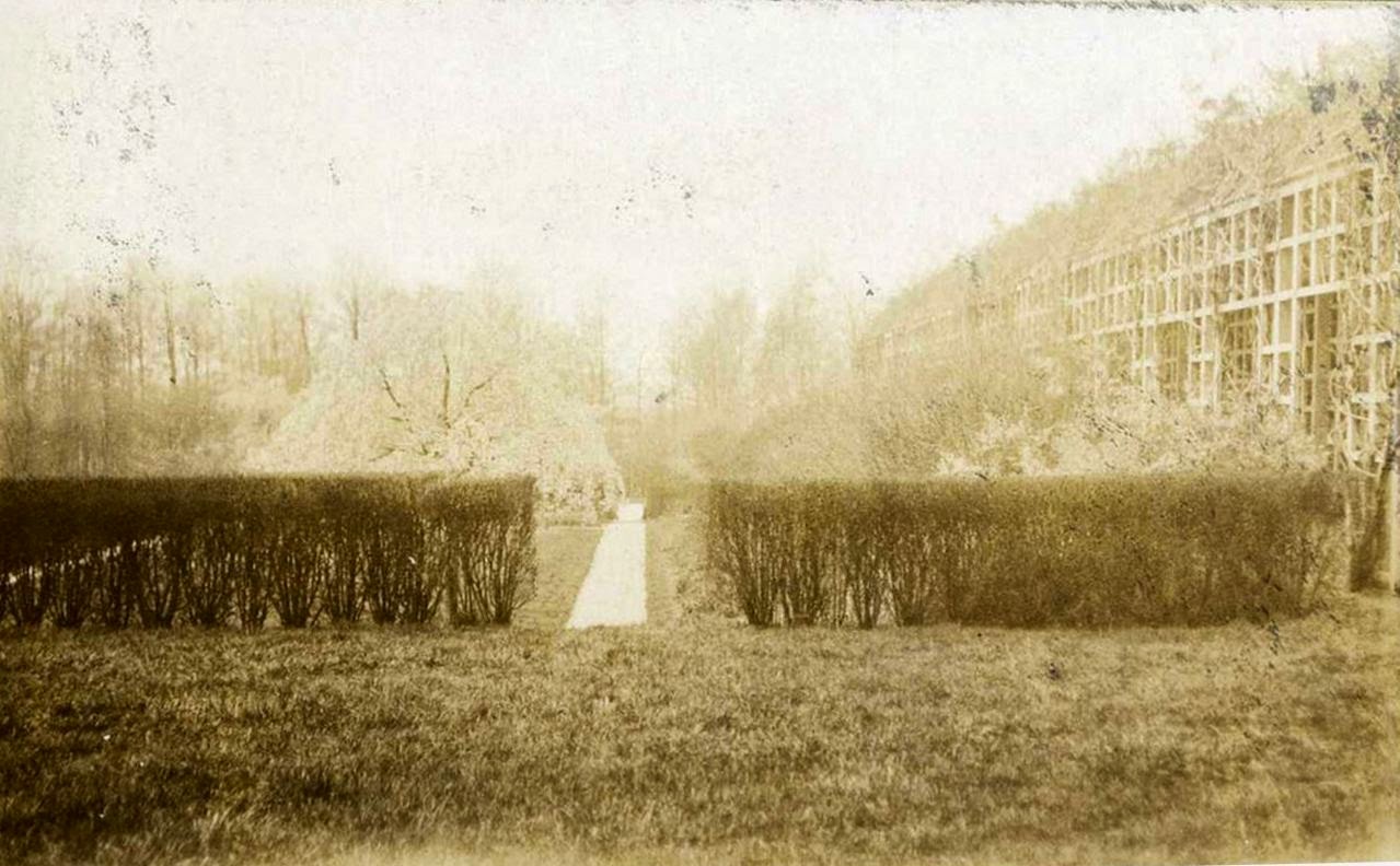 Half Pudding Half Sauce "JERICHO HOUSE" RESIDENCE OF MR. EDWARD