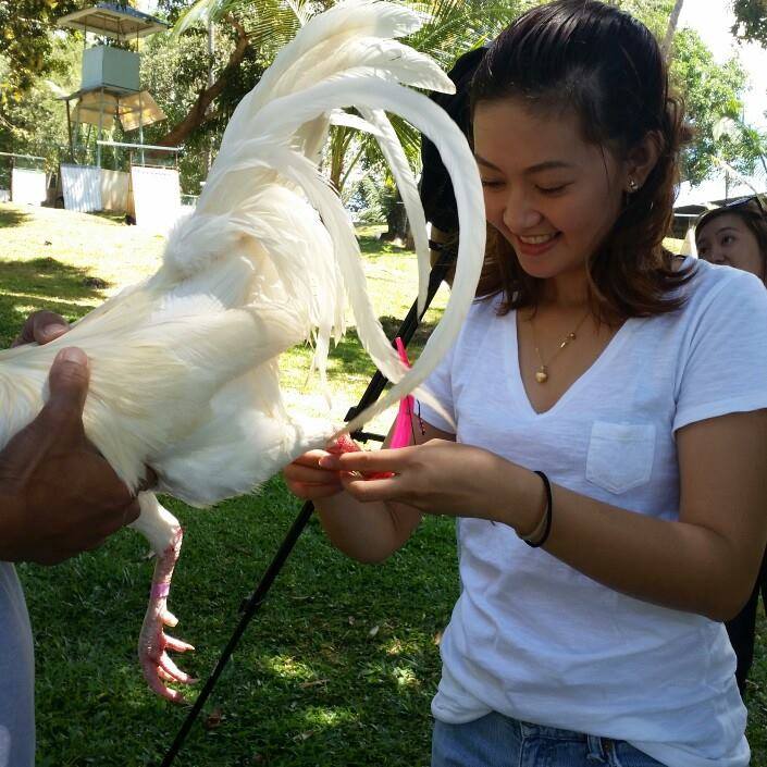 inexperienced big cock adult vitural world