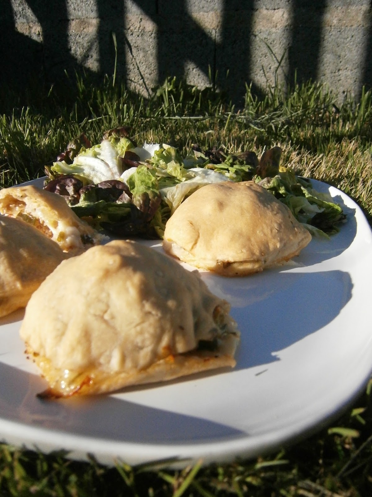 Délices d'une novice Mini pizzas calzone (chaussons) tomate, thon