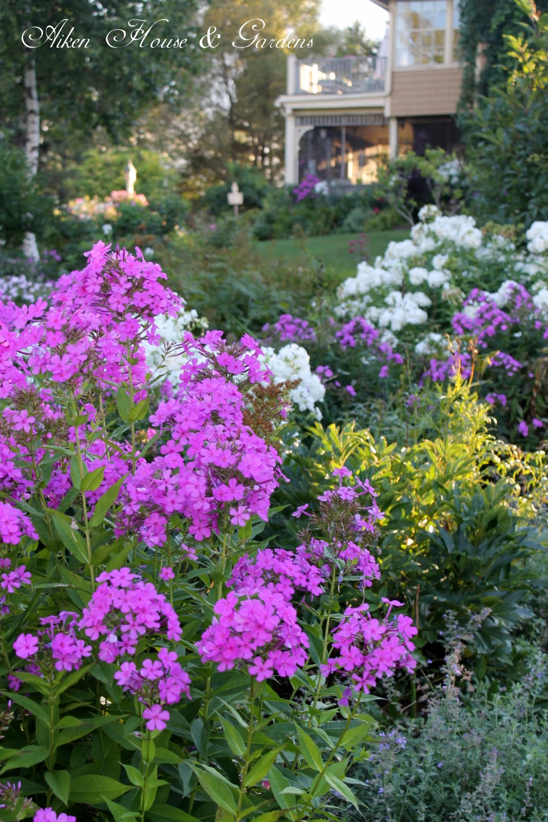 Aiken House & Gardens Touring the Late August Garden