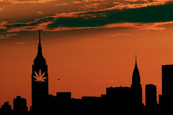 Maconha medicinal começa a ser vendida hoje em Nova York Maconha medicinal começa a ser vendida hoje em Nova York
