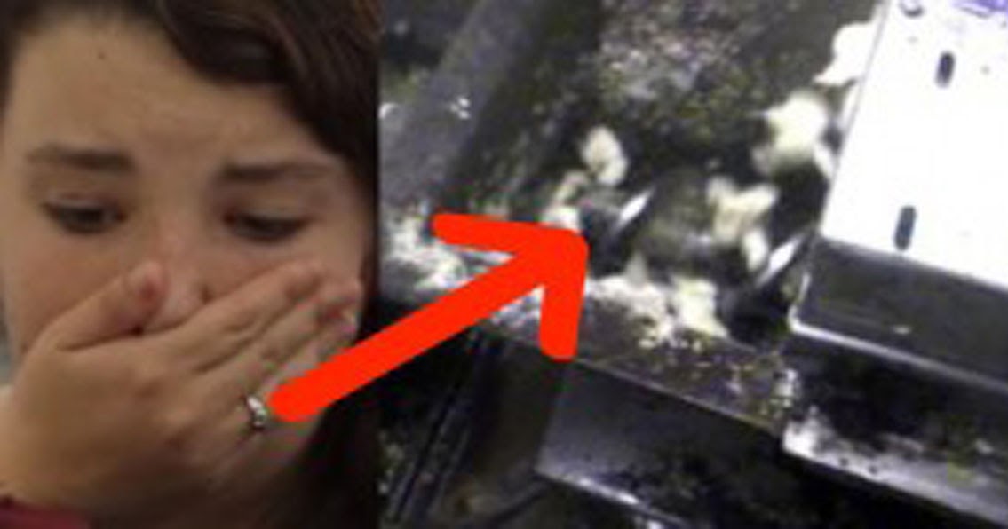 WARNING GRAPHIC This secretly recorded footage will make you lose your