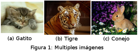 Alinear Imagenes Latex | latex multiples im 225 genes juntas el mundo en bits Alinear Imagenes Latex | latex multiples im 225 genes juntas el mundo en bits