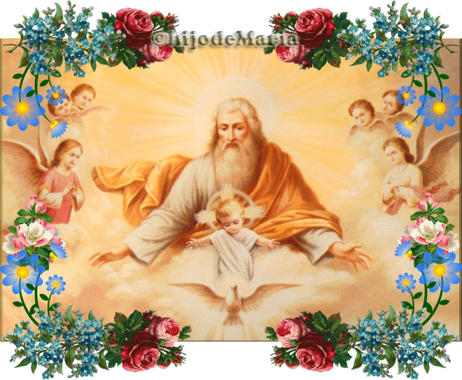 CREO en la Iglesia que es UNA, Santa, Católica y Apostólica..