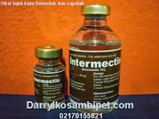 INTERMECTIN (Holland))