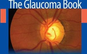 Bệnh Glaucoma, Tiếp cận chăm sóc BN thực tế và Dựa trên chứng cớ