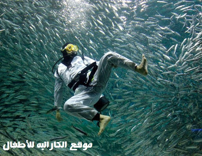 الكاراتيه تحت الماء underwater karate