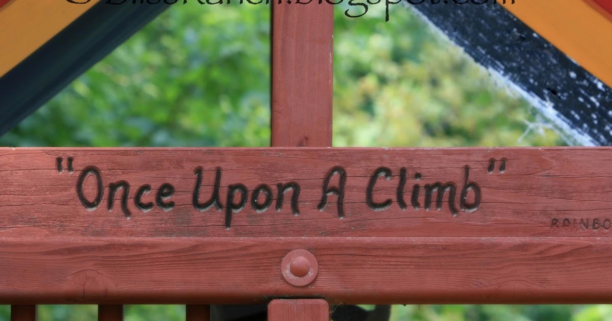 Bliss Ranch Replace Playground Canopy with a Wood Roof