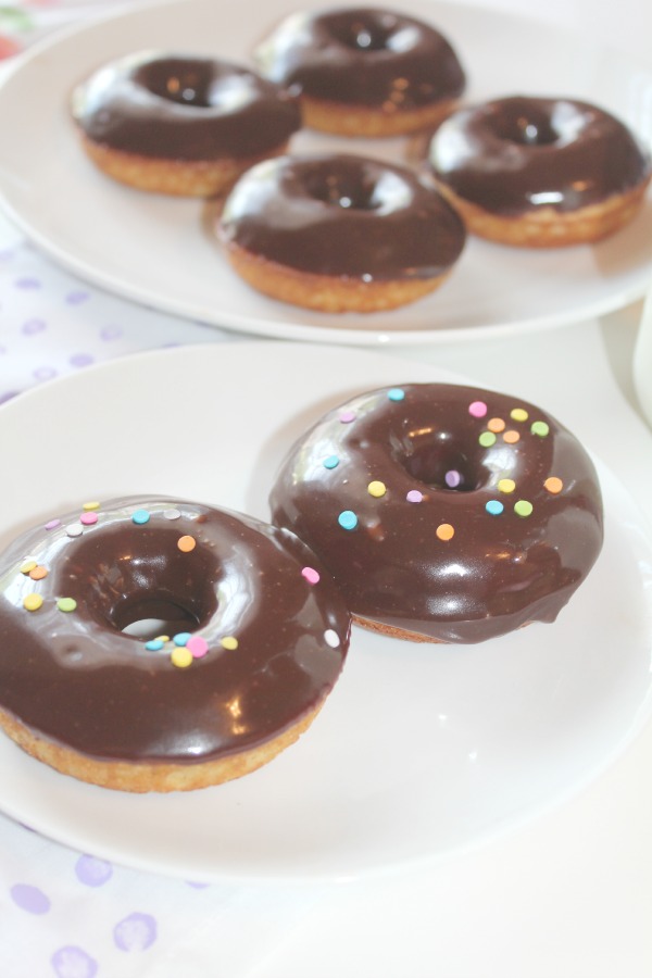 Chocolate Frosted Donuts Sunny Days & Starry Nights
