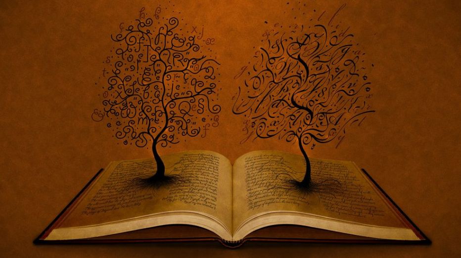 Un Fiore Di Loto Tra Le Mani 365 Pensieri