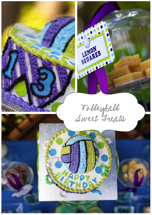 Nellie Design Volleyball Printable Party