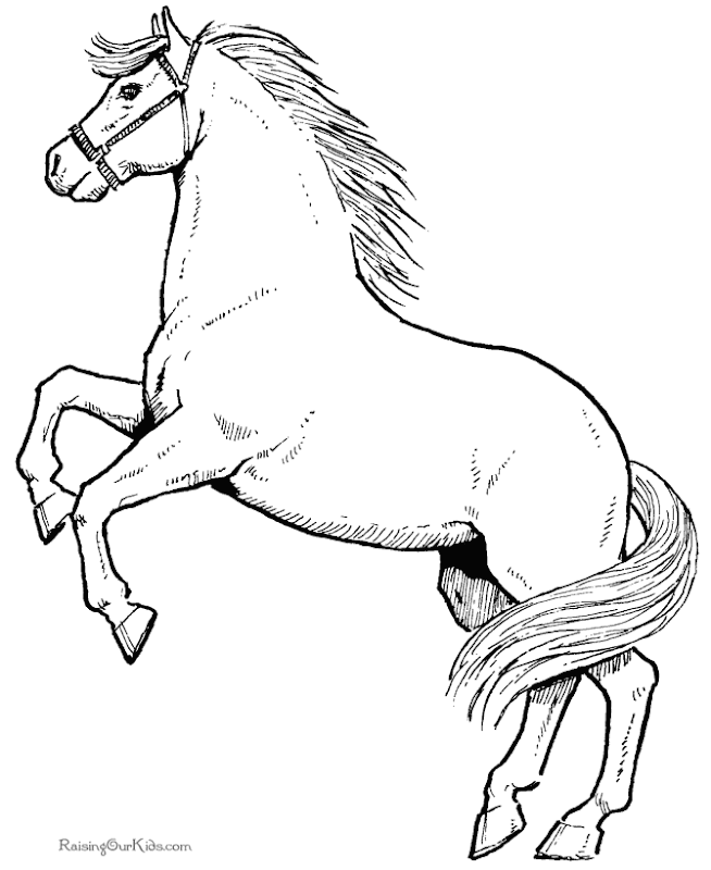 Coloring Pages For Elderly Coloring Pages For Kids