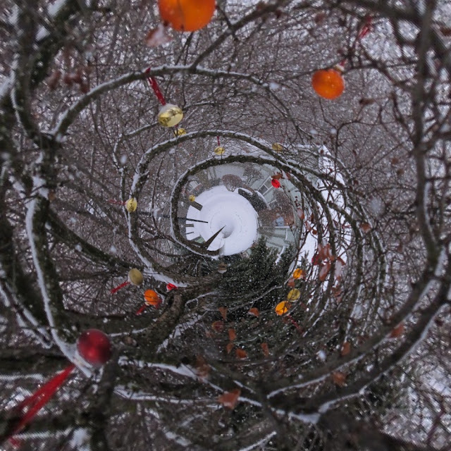 tiny planet christmas
