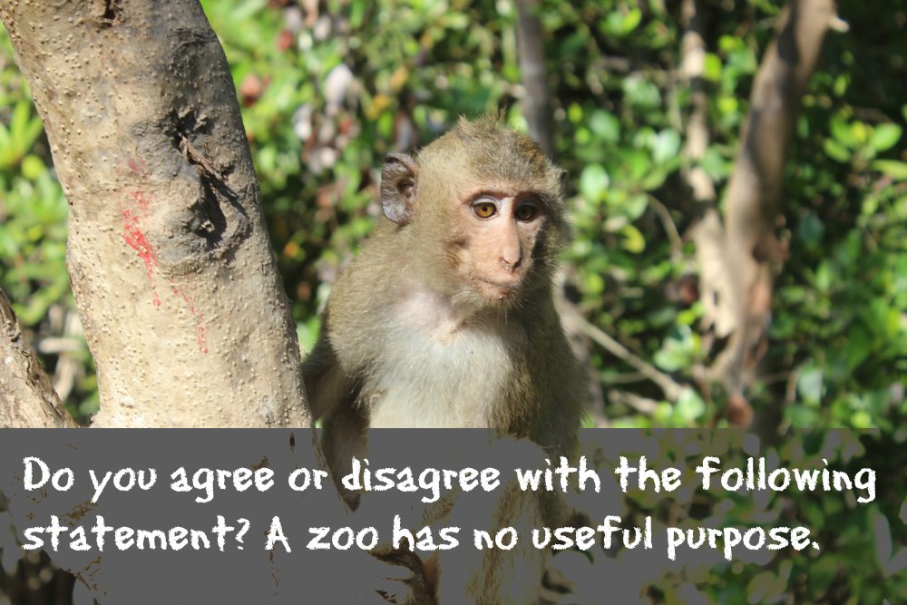 should we have zoos persuasive essay should we have zoos persuasive essay