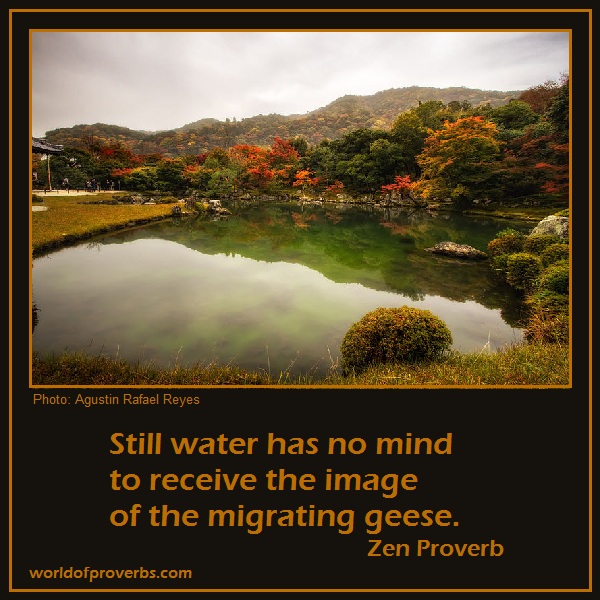 Photo by Agustin Rafael Reyes