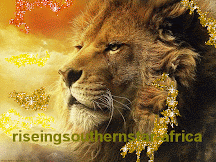 Riseingsouthernstar-Africa