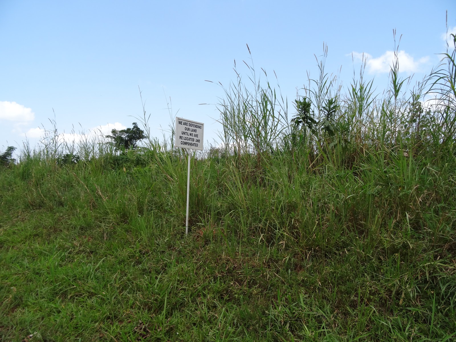 Developments in rural areas across the world October 2015