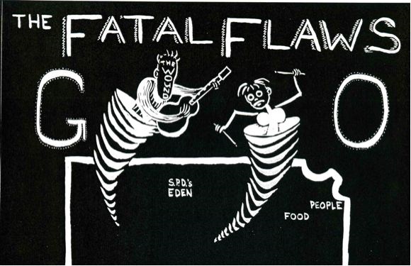 The Fatal Flaws