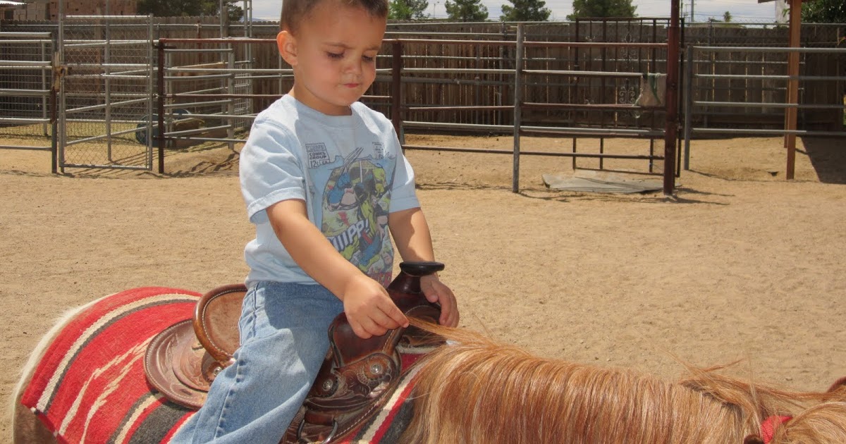 Sorenson 2011 jr pony rides
