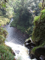 River in Batang Toru Forest Block