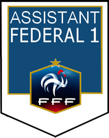 http://www.fff.fr/common/bib_res/ressources/440000/5500/150606173407_classement_de_fin_de_saison_2014_2015_-_aaf1.pdf