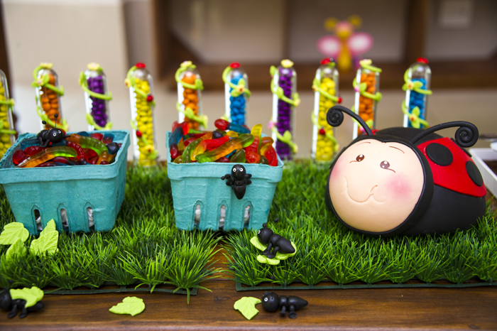 ideias de festa infantil jardim encantado:Festa Jardim Encantado Colorido – Dicas pra Mamãe ideias de festa infantil jardim encantado:Festa Jardim Encantado Colorido – Dicas pra Mamãe