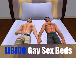 LIBIDO - "Gay Encounters"