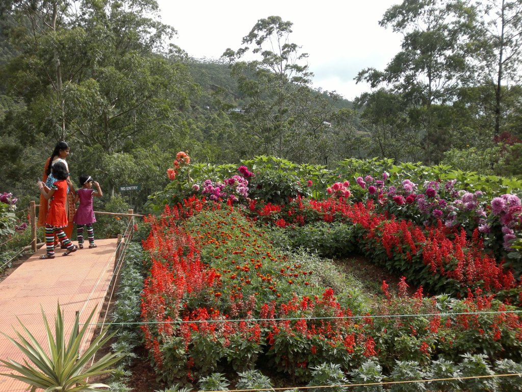 Munnar Flower Garden TravelersOutlook Travelers Photo Gallery
