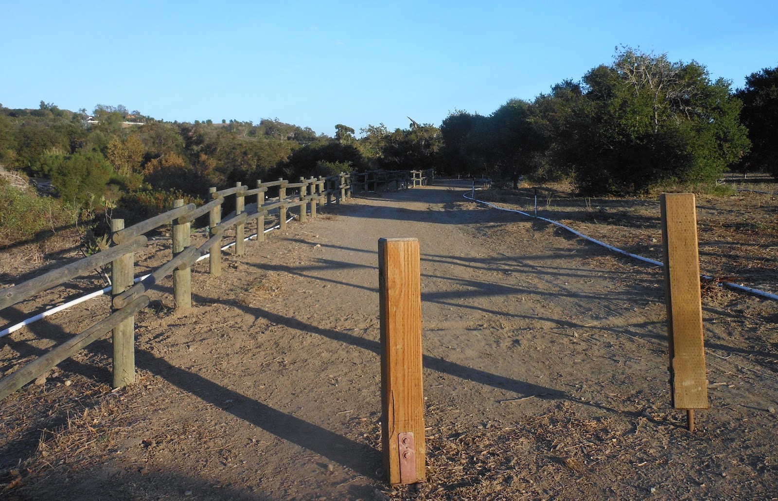 1000 Hikes in 1000 Days Day 656 Northwest Open Space