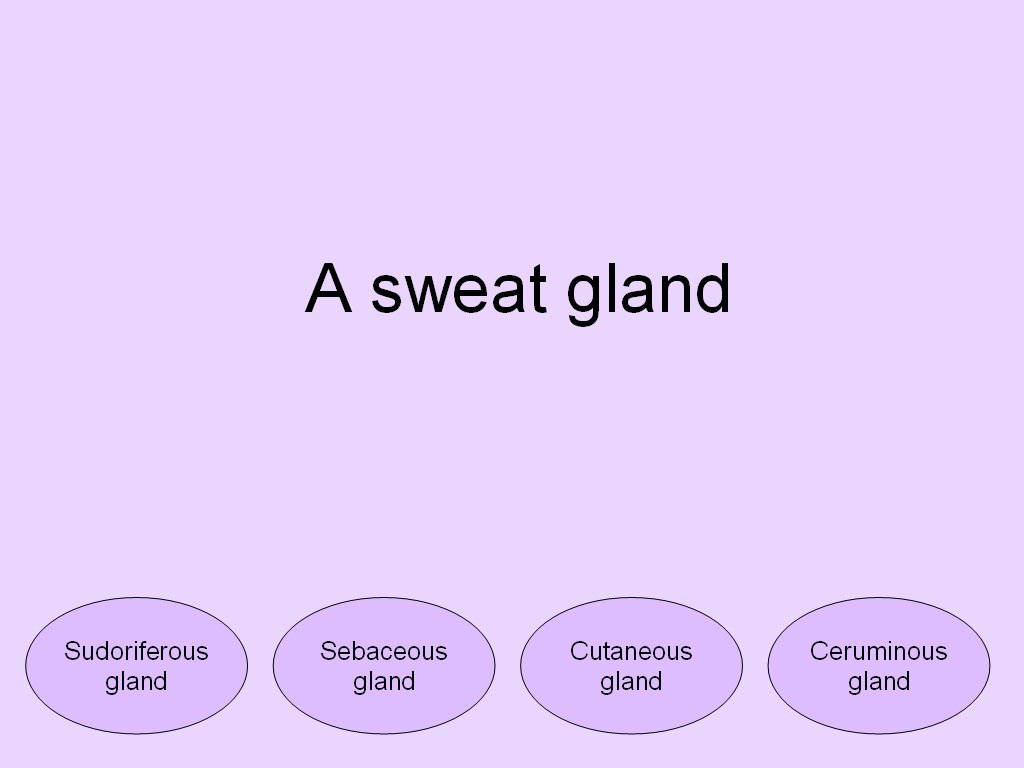 Student Survive 2 Thrive Free Medical Terminology Practice Test Skin