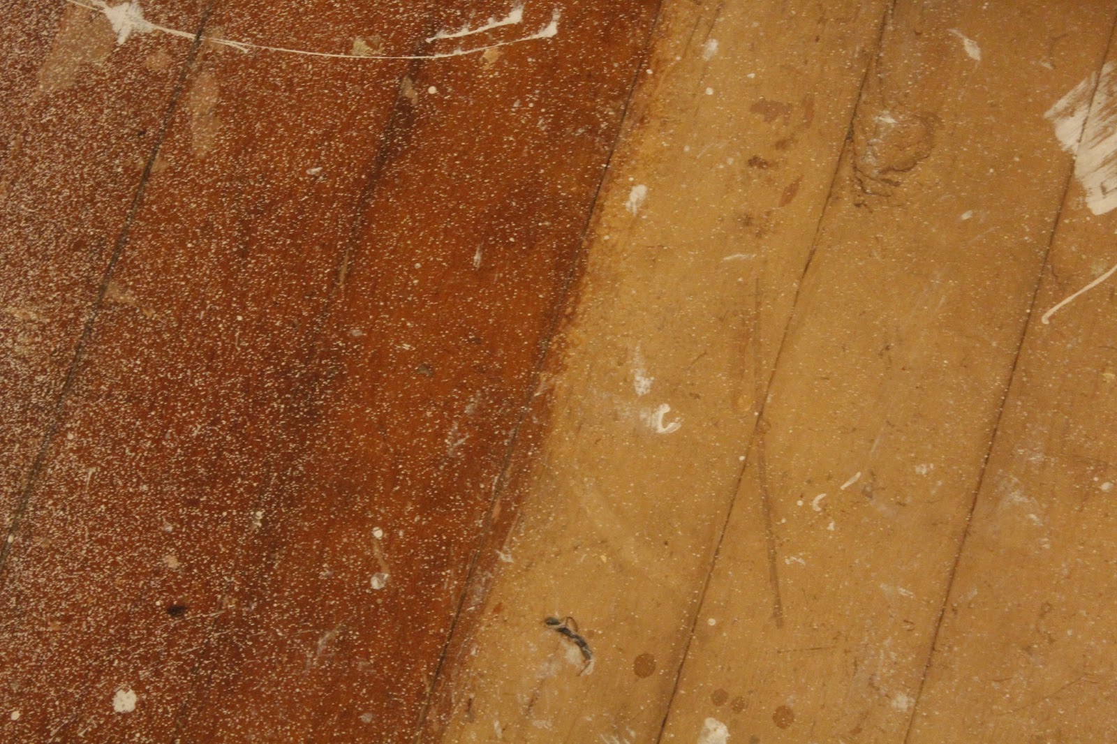 Midnight Mindness Removing Paint from Floor