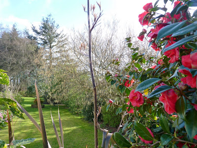 gite des hortensias jardin gite finistere sud