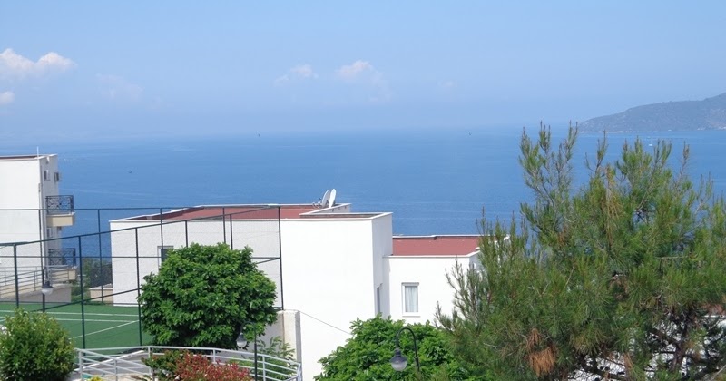 Bodrum Güllük Tatil Evleri Olive Tree Apartments