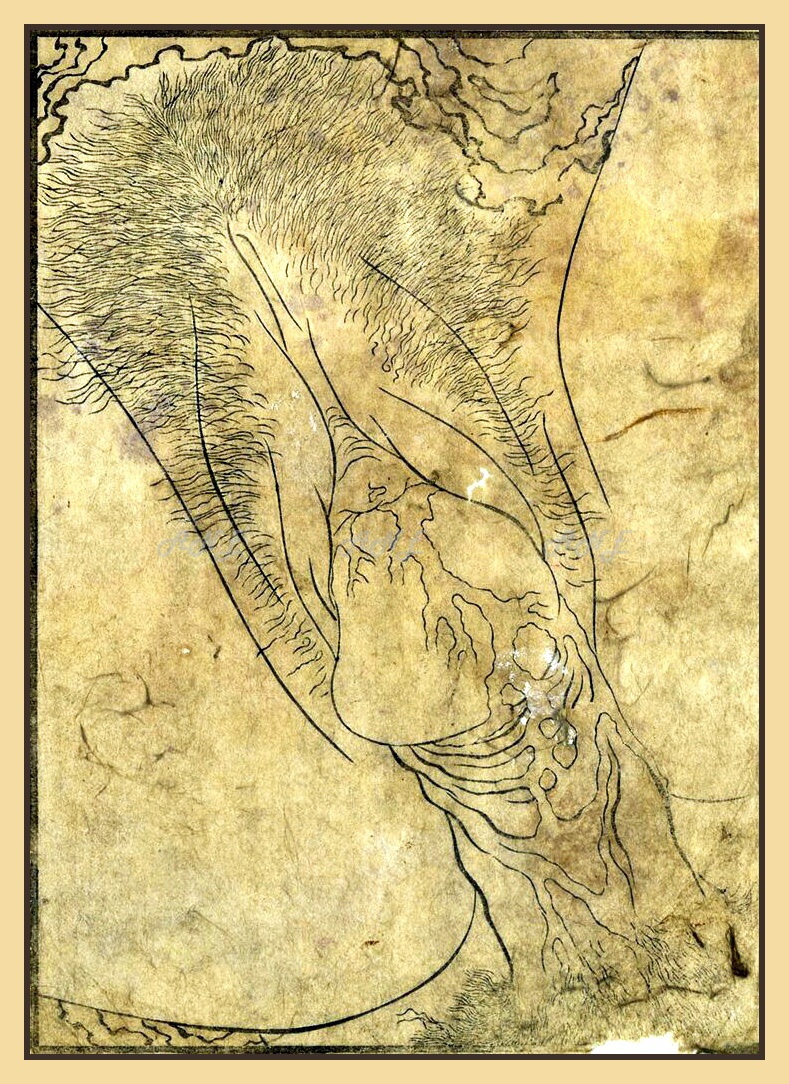 Splash woman hentai Hokusai erotic art