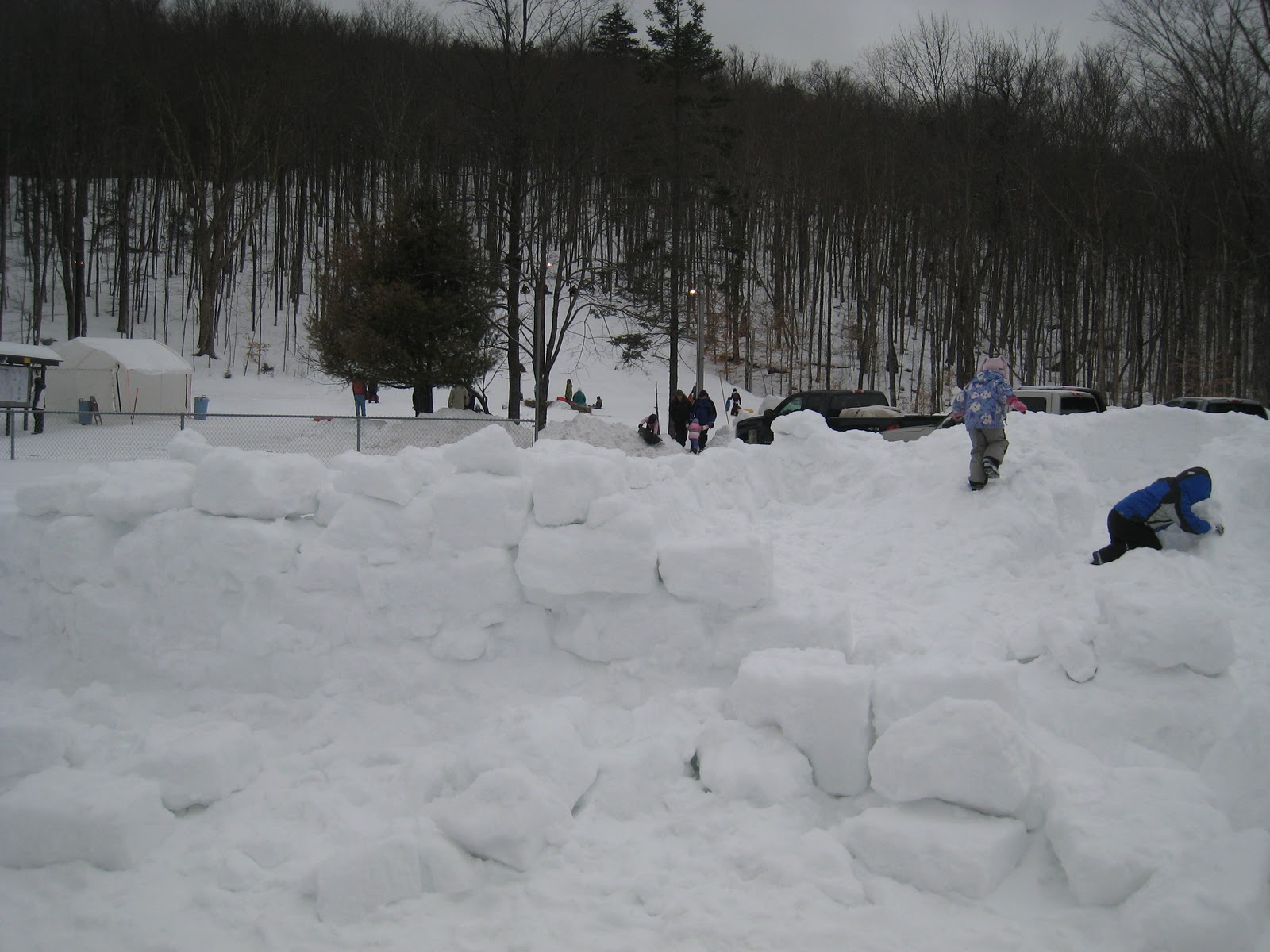 Things to do in Inlet, NY Adirondack Inlet's Fern Park