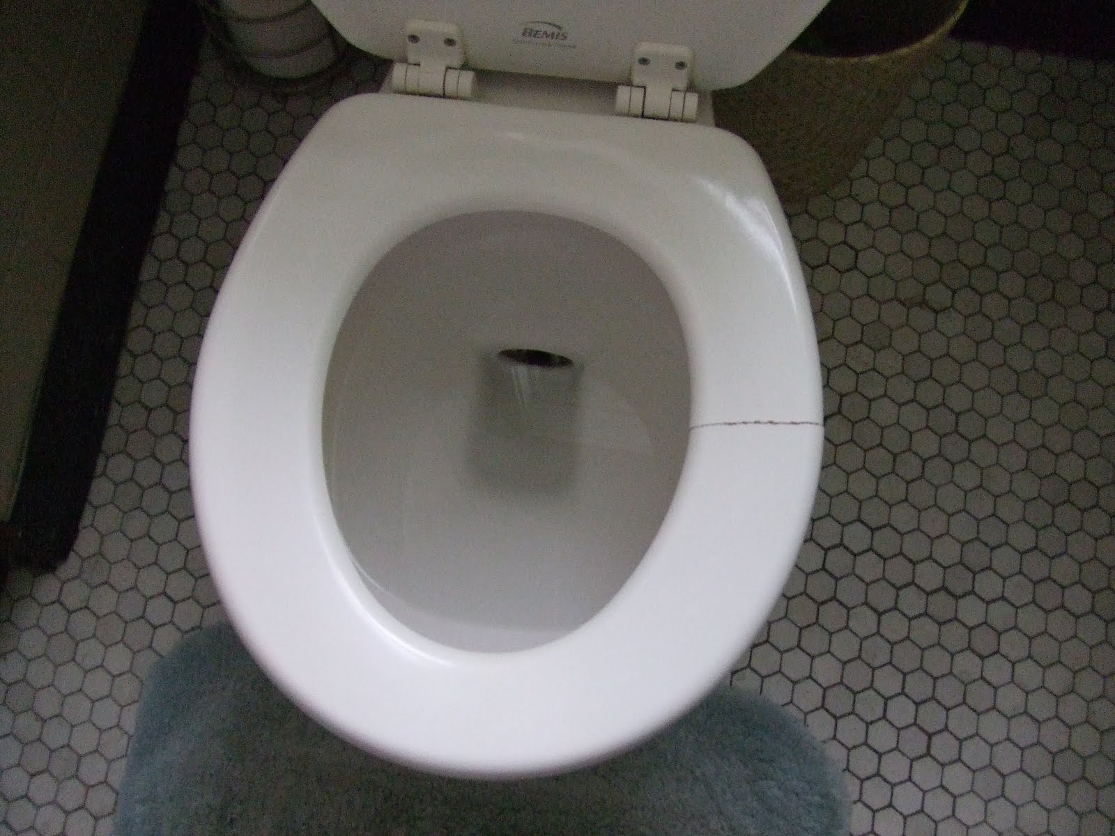 Cracked Toilet Seat