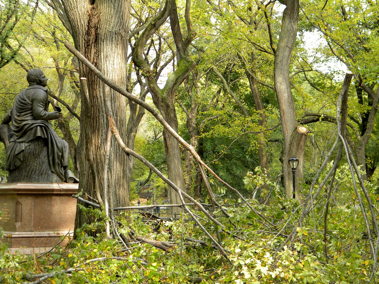 New York Central Park Storm Damage 10/29/11