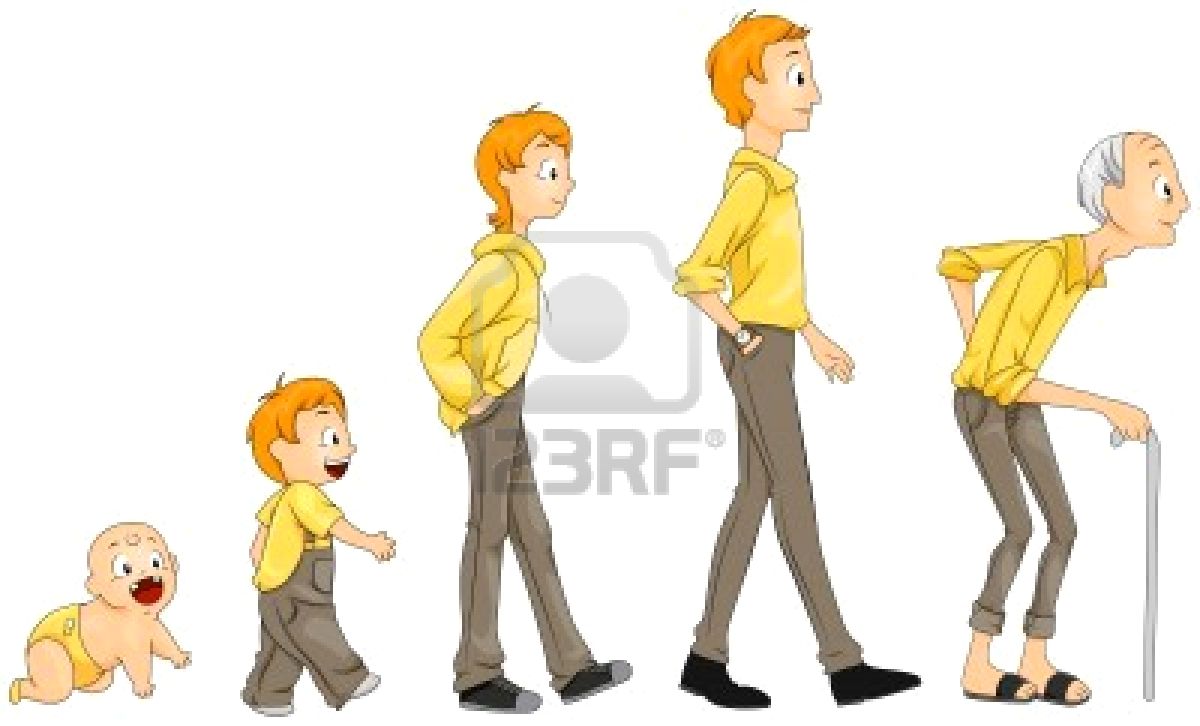 Etapas De Desarrollo Del Ser Humano Etapas De Desarrollo Del Ser Humano