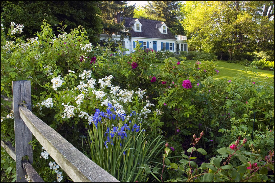 FLORAWERELD GREEN MAGAZINE Broccoli Hall Gardens