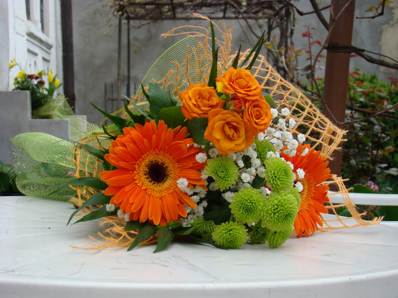 http://4.bp.blogspot.com/-VkNrbFdW24E/TXZLwP6DzpI/AAAAAAAABCY/uwi21rG1SBw/s1600/imagine_draguta8martie.jpg
