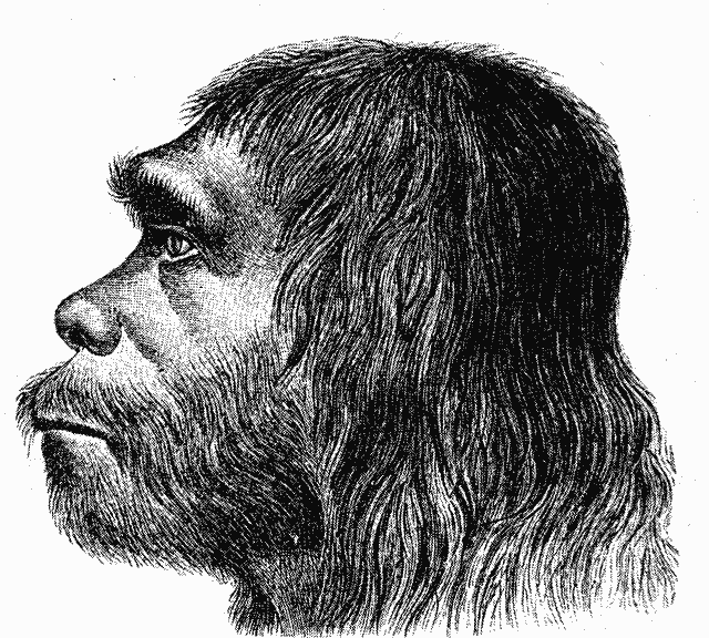 Neanderthals+and+denisovans