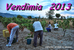 VENDIMIA 2013