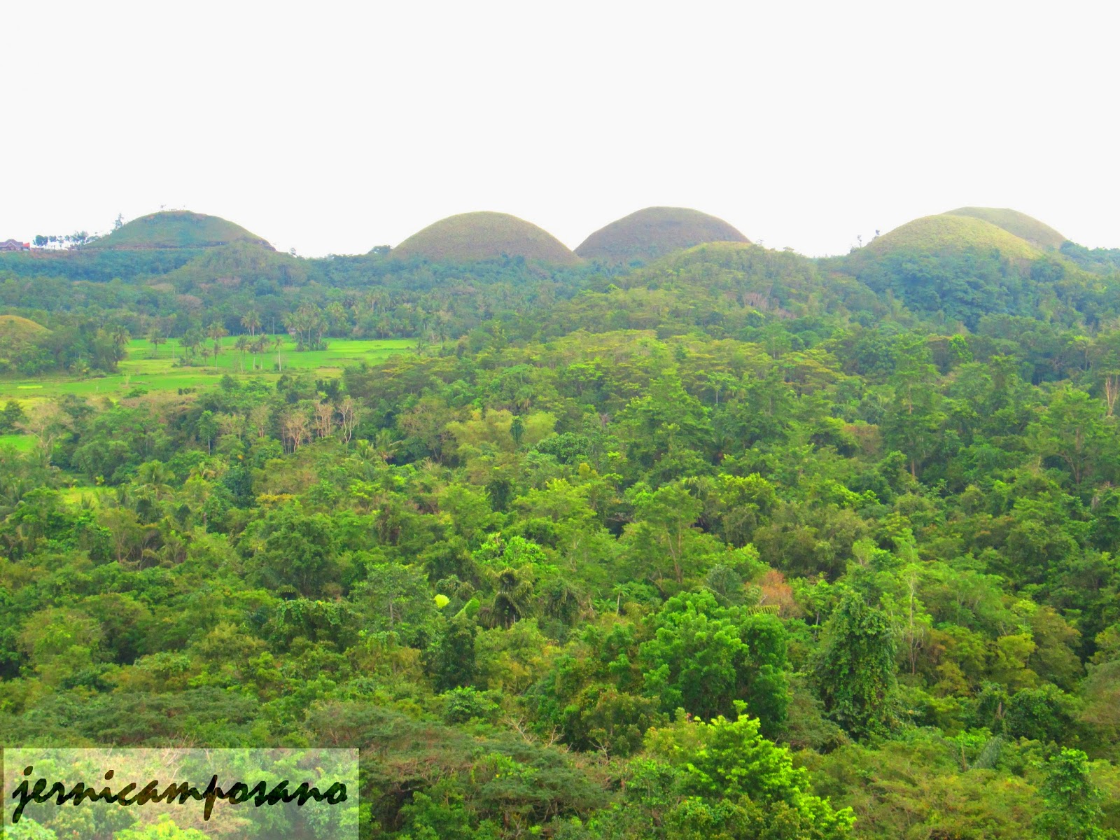 Turn Write. Keep Write. Surviving the Chocolate Hills Adventure Park